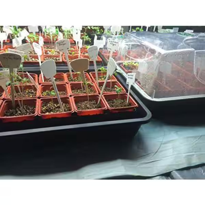 Seed and Herb Domed Propagator and Tray with Vented Side Extension