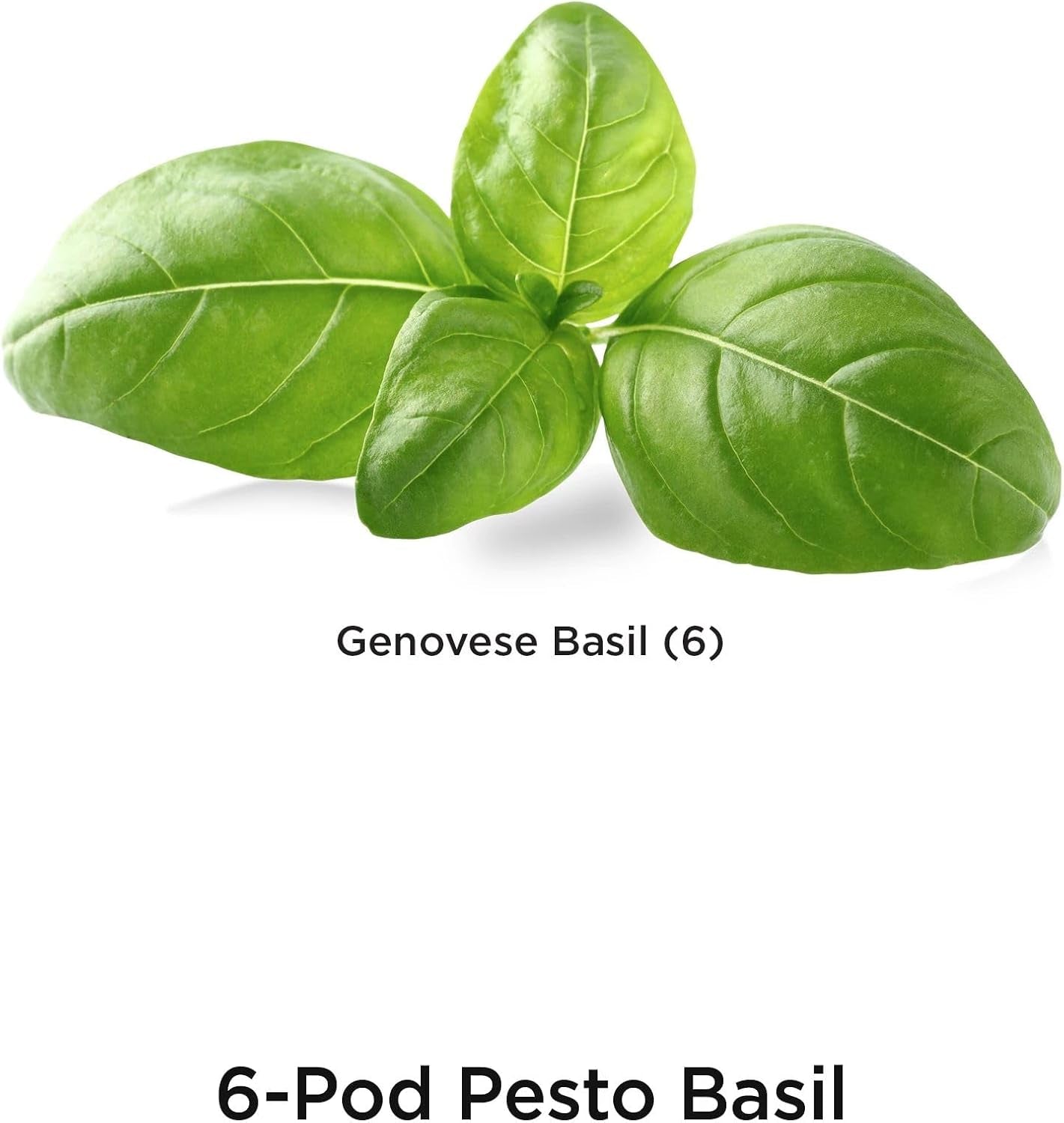 Pesto Basil Seed Pod Kit (6-Pod)