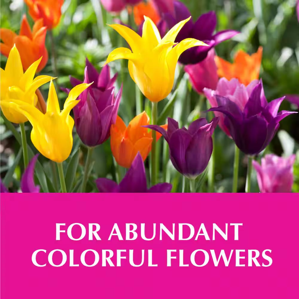 Morbloom 32 Oz. (1 Qt.) Liquid Flowering Plant Food Fertilizer Concentrate 0-10-10