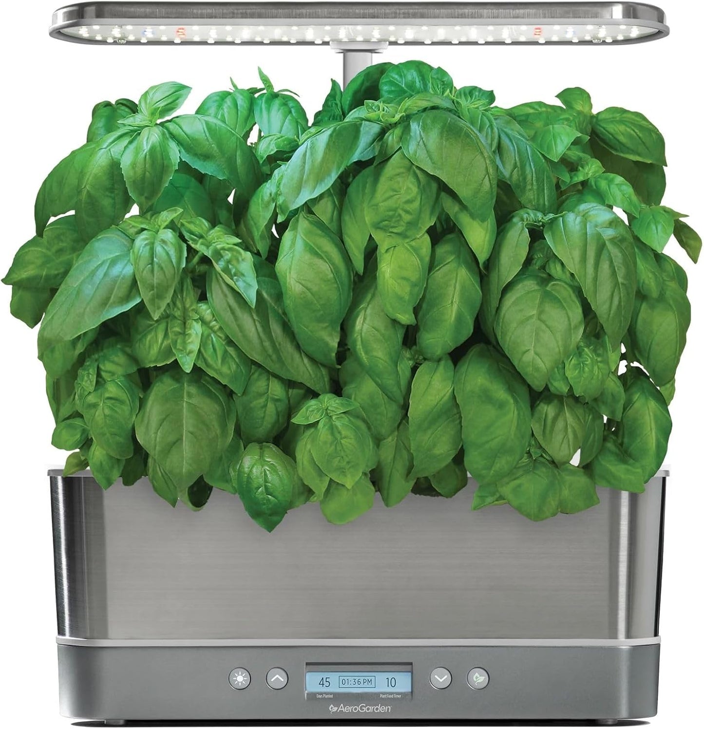 Pesto Basil Seed Pod Kit (6-Pod)